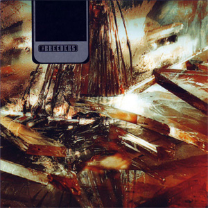 Disco We're Gonna Rise de The Breeders