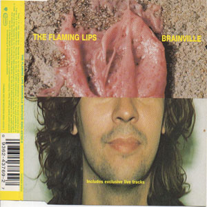 Disco Brainville de The Flaming Lips