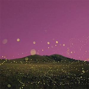 Disco Chasing Flies de Tinie Tempah