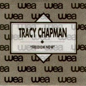 Disco Freedom Now de Tracy Chapman