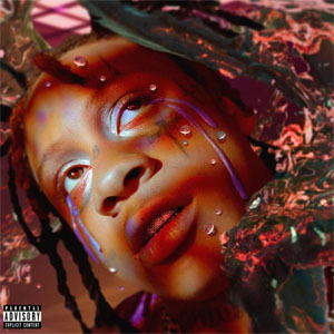 Disco A Love Letter to You 4 de Trippie Redd 