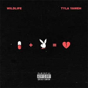 Disco Wildlife de Tyla Yaweh