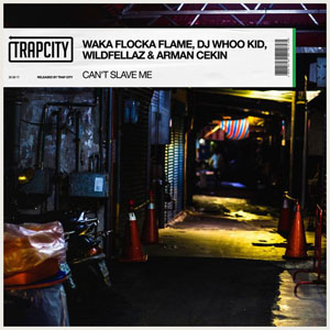 Disco Can't Slave Me de Waka Flocka Flame