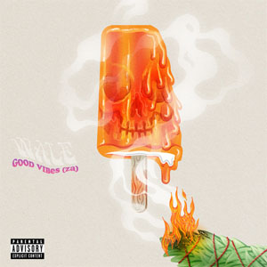 Disco Good Vibes (Za) de Wale