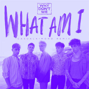 Disco What Am I (Casualkimono Remix) de Why Don't We