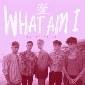 Disco What Am I (SONDR Remix) de Why Don't We