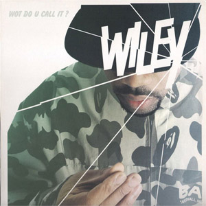 Disco Wot Do U Call It? de Wiley