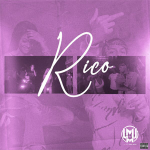 Disco Rico de Yailin La Más Viral