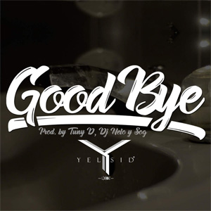 Disco Goodbye de Yelsid