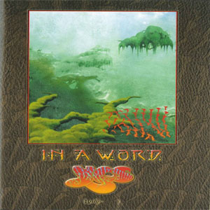 Disco In A Word de Yes