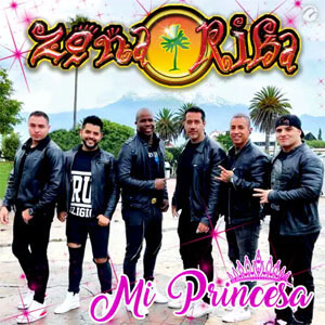 Disco Mi Princesa de Zona Rika